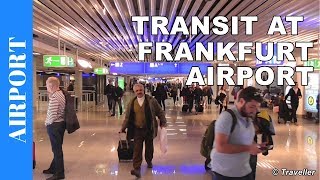 TRANSIT WALK AT FRANKFURT Airport FRA Terminal 1  Connection Flight Transfer Arriving amp Departing [upl. by Streetman114]